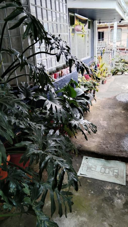 Havilah House 碧瑶 外观 照片